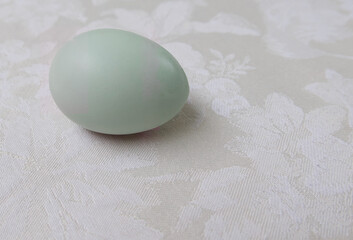 Single blue hens egg on white damask tablecloth with copy space