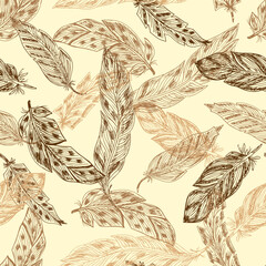 Feathers. Vector Seamless pattern of Hand Drawn Doodles Feathers. Vintage wallpaper.
