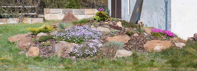 Panaramic view on spring garden with beautiful rock garden in full bloom with pink Phlox subulata, Armeria maritima, sea thrift, Bergenia, carnation and other colorful blooming flowers.