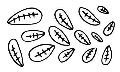 Collection of hand drawn leaves. Doodle illustration. Simple floral elements isolated on white background