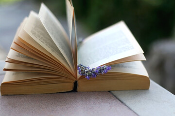 Open book and lavender flower. Reading in the garden. Selective focus.