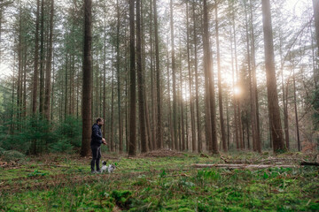 Frühlingsspaziergang im Wald mit dem Hund