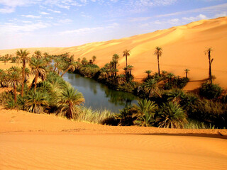 LIBYA. SAHARA  DESERT OASIS NEAR SEBHA.  - obrazy, fototapety, plakaty