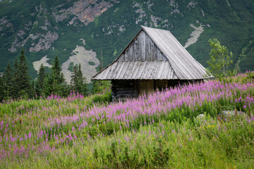 cabaña, Valle de gasienicowa , parque nacional Tatra, voivodato de la Pequeña Polonia, Cárpatos,  Polonia, europe