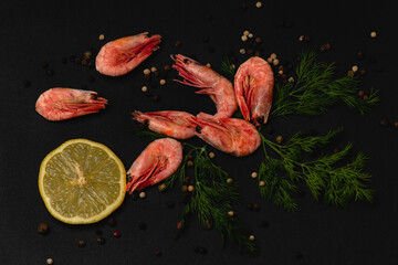 .Shrimp with a slice of lemon and sprigs of green fresh dill on a black background.