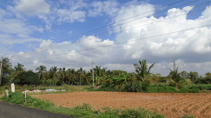 rural landscape with road