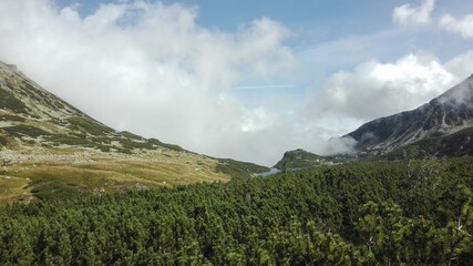 Fototapeta premium Mountain glen, covered with green forest, opening view on calm blue sky filled with white clouds
