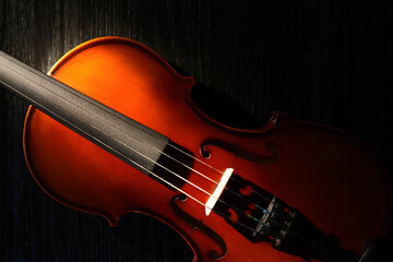 Violin On Dark