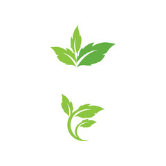 Leaf  ecology Logo Template vector