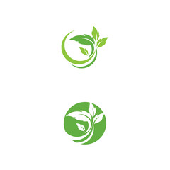 Leaf  ecology Logo Template vector