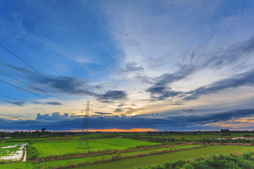 Fototapeta na wymiar Landscape of green paddy rice farm during storm cloud sunset