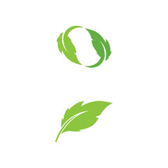 Leaf  ecology Logo Template vector