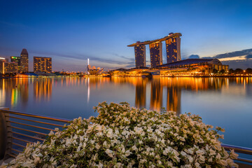 Singapore river view over Marina Bay Sands, Esplanade theatre, Singapore flyer.  iconic view with flowers in the foreground