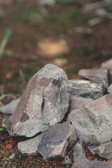 Fototapeta na wymiar arranged stones in the botanical garden