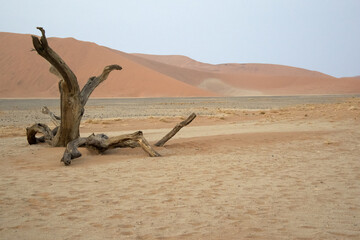  PARC NATIONAL DU NAMIB-NAUKLUFT - SESRIEM