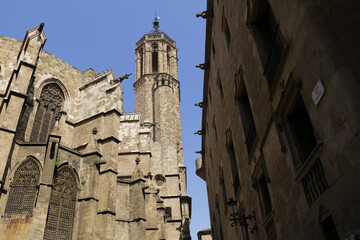 Fototapeta premium The cathedral santa maria in the gothic quarter of Barcelona