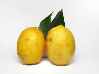 Yellow lemon fruit isolated on white background