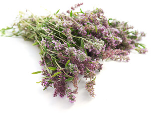 Oregano flowers bouquet isolated on white background, top view