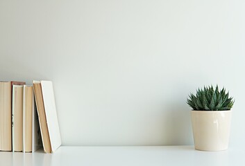 Empty wall mockup for frame, artwork, text or wall hanging, blank white wall, books, cactus plant,...