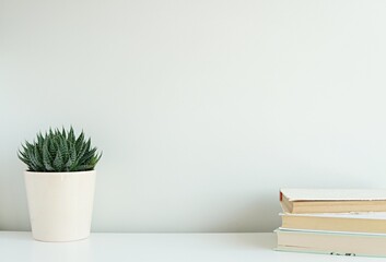 Empty wall mockup for artwork, wall hangings, wall decal display, free space for text, minimalist interior, books, plant.