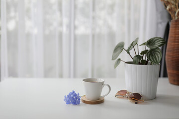 coffee cup with plant and brown sunglasses with purple flower on white desk with see through curtain 