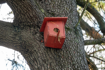 Wooden birdhouse on a tree in the park