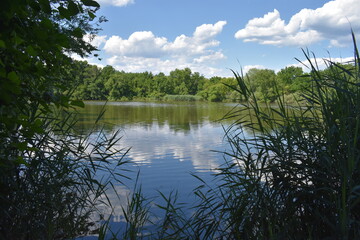 Fototapeta na wymiar Scenic view of Lake Marlu at Thompson Park in Holmde, New Jersey, USA, on a mostly sunny day with puffy cumulus clouds