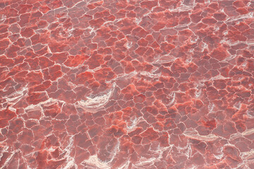 Aerial view of the salt pan and mineral crust with red algae of Lake Natron, in the Great Rift Valley, on the border between Kenya and Tanzania. The Rift Valley contains a chain of active volcanoes.
