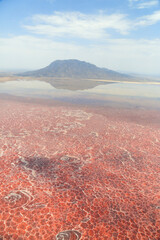 Aerial view of the salt pan and mineral crust with red algae of Lake Natron, in the Great Rift Valley, on the border between Kenya and Tanzania. The Rift Valley contains a chain of active volcanoes.