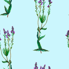 Fototapeta na wymiar Watercolor drawing of wild meadow flowers, buds, inflorescences and leaves. Summer design. Design wallpaper, textiles, packaging, packaging paper, fabric. Seamless pattern.