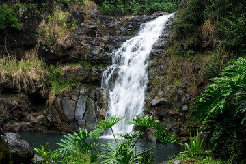 Fototapeta na wymiar Waterfall in botanical garden. 