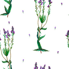Naklejka na ściany i meble Watercolor drawing of wild meadow flowers, buds, inflorescences and leaves. Summer design. Design wallpaper, textiles, packaging, packaging paper, fabric. Seamless pattern.