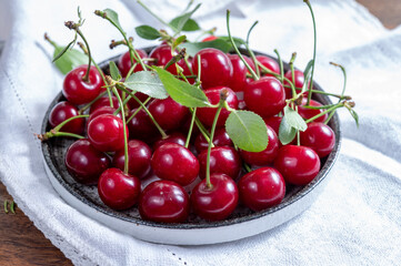 New harvest of red ripe juicy sour cherry or kriek berry