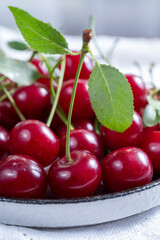 New harvest of red ripe juicy sour cherry or kriek berry