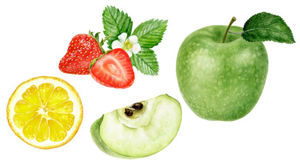 Green apple lemon slice strawberry watercolor illustration isolated on white background