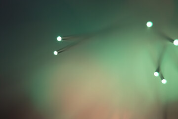 Abstract background. Fantastic fancy plants with colored branches with luminous dots at the ends....
