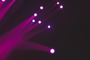 Abstract background. Fantastic fancy plants with colored branches with luminous dots at the ends....