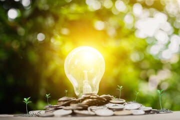 The idea of ​​light bulbs Showing the beginning of new ideas. Improve business operations to have the highest quality development and friendly to the environment. To save the world