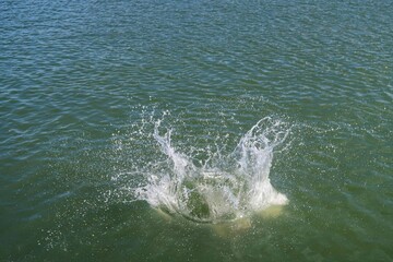 Sea water splashes after jumping to the ocean on dark green ripples background in tropical warm destination open sea with copy space for text. Transparent water splash and wave on light background. 