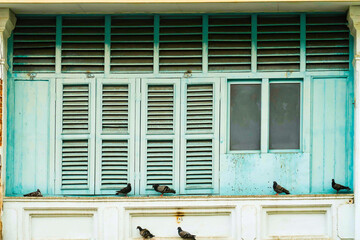 Abstract architecture background of vintage wooden window in blue color with small birds. Facade of house or exterior of building construction with Chino Portuguese style in Phuket old town, Thailand