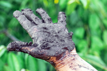 Woman's hand covered with therapeutic mud, medical procedures