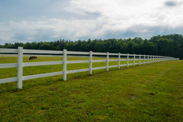 Long Fence