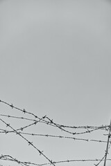 Filo spinato su fondo cielo