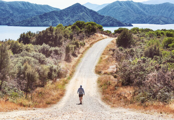Hike