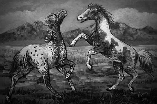 Art painting Acrylic color   horse Lucky background  From Thailand , black and white  , monochrome