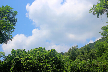 Obraz premium 구름도 울고넘는