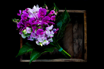 Top view of bunch of colorful sweet pea in woodden chest on a black background. Group of fresh sweet pea flowers in black background. Delicious Fresh flowers from the garden in wodden chest