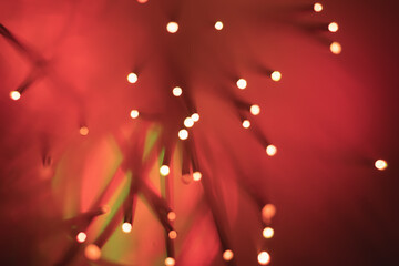 Abstract background. Fantastic fancy plants with colored branches with luminous dots at the ends....