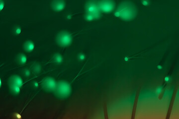 Abstract background. Fantastic fancy plants with colored branches with luminous dots at the ends....