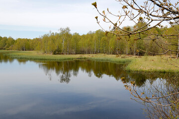 Red Moor, Moor, Hesse, Germany, Europe